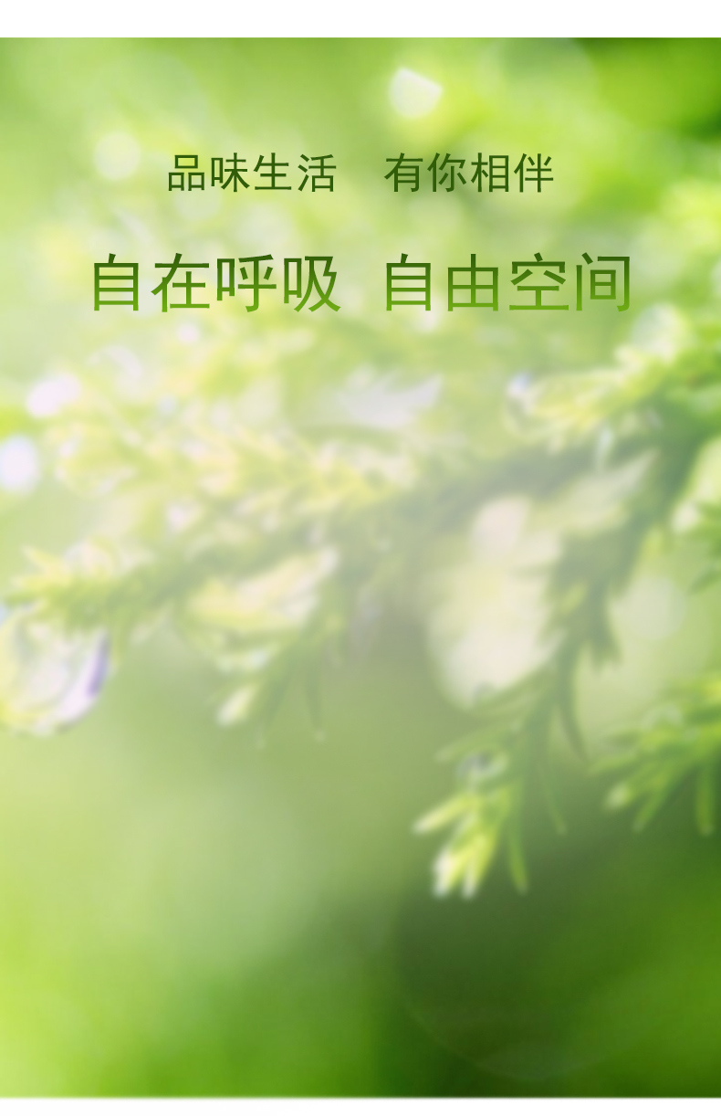 1557565913441954.jpg 空气清新剂_06.jpg